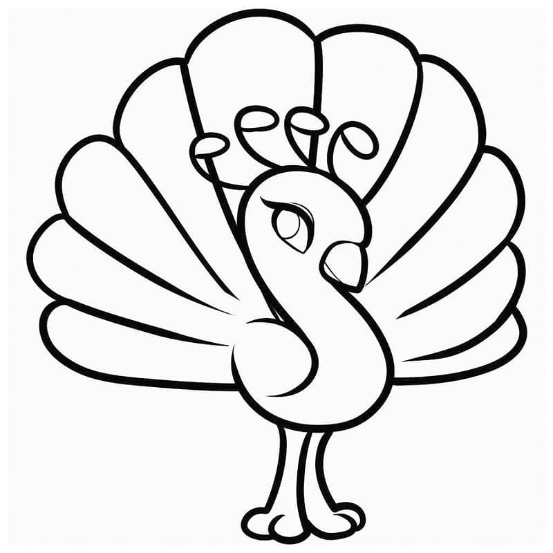 Con Công Xinh Xắn