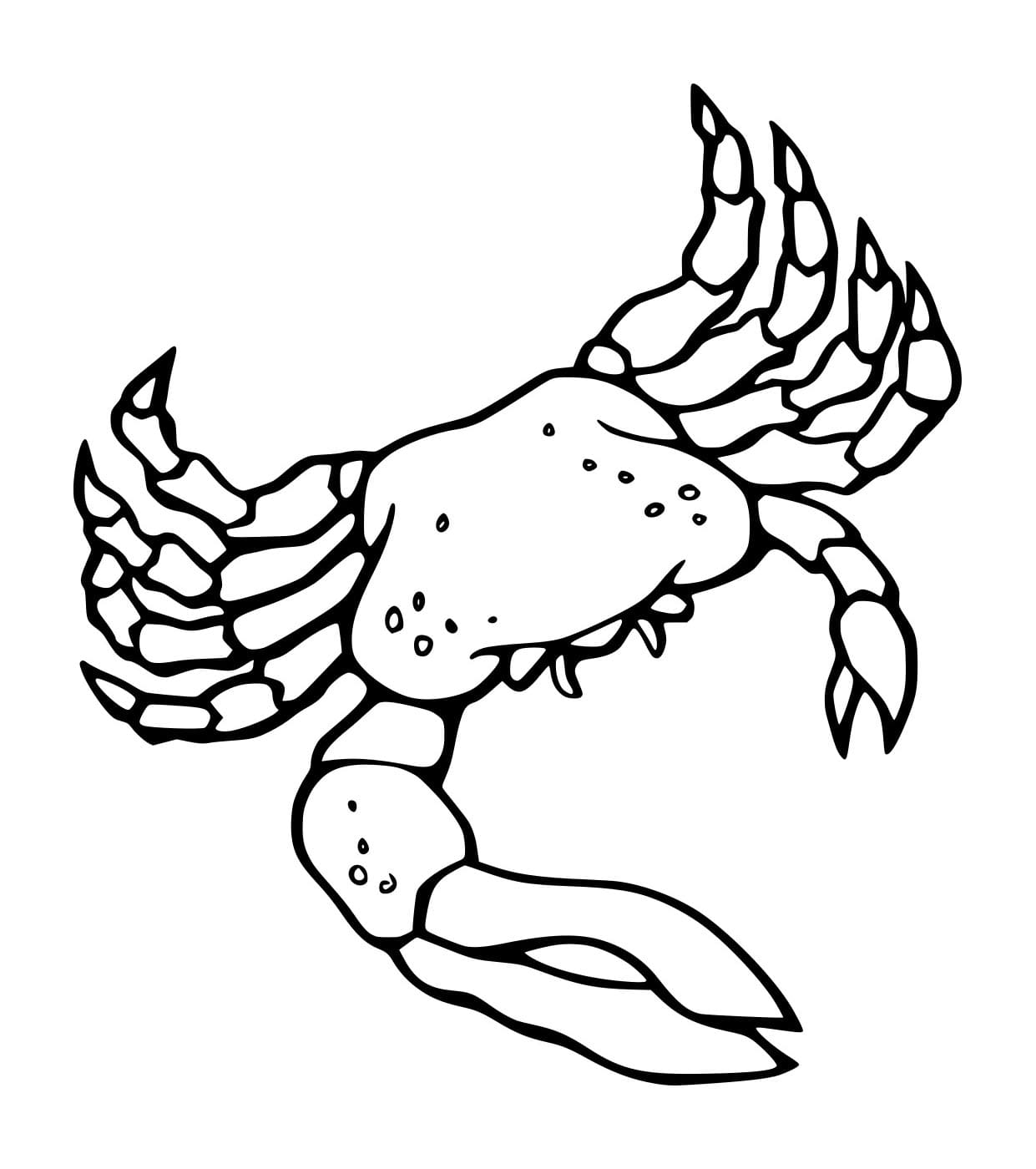 Con Cua Đá Florida