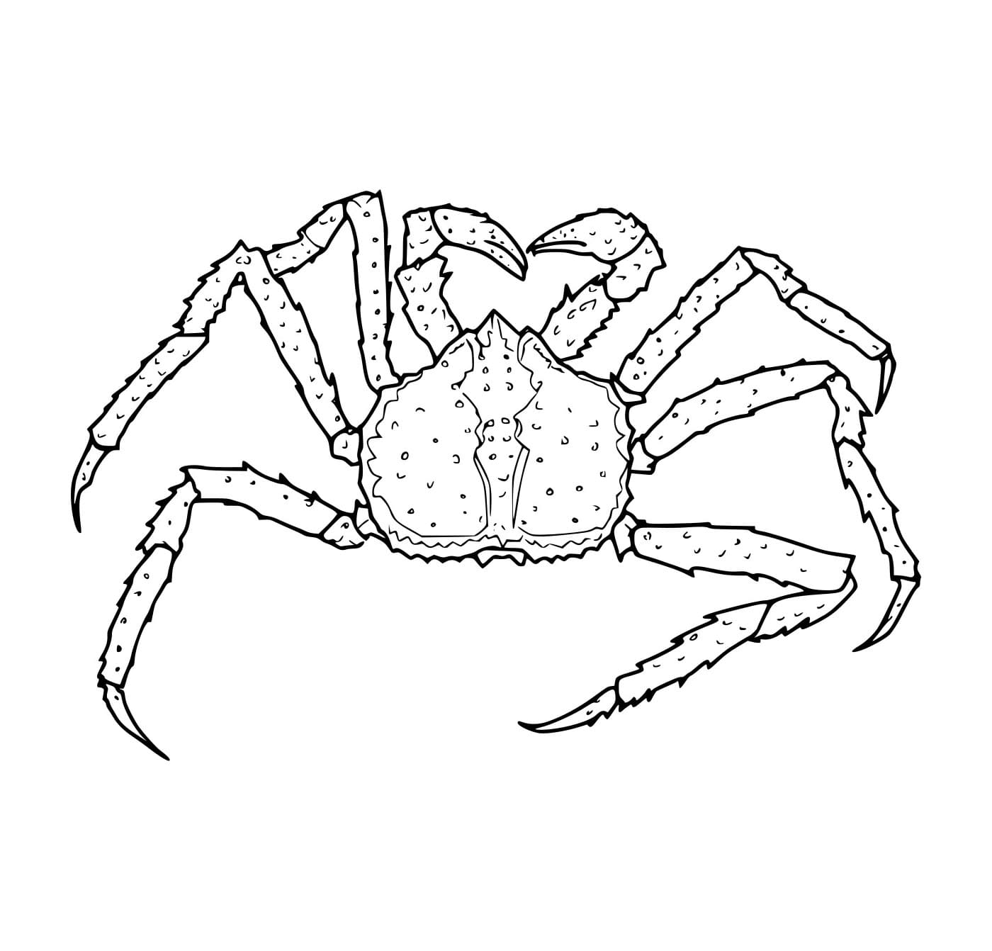 Con Cua Hoàng Đế