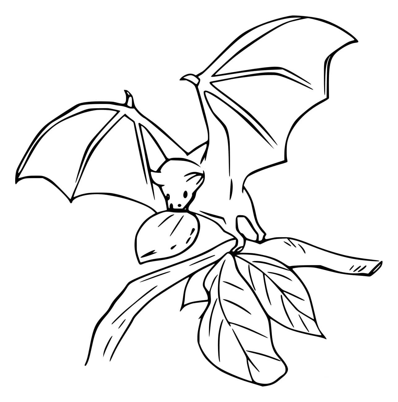 Con Dơi Ăn Trái Cây