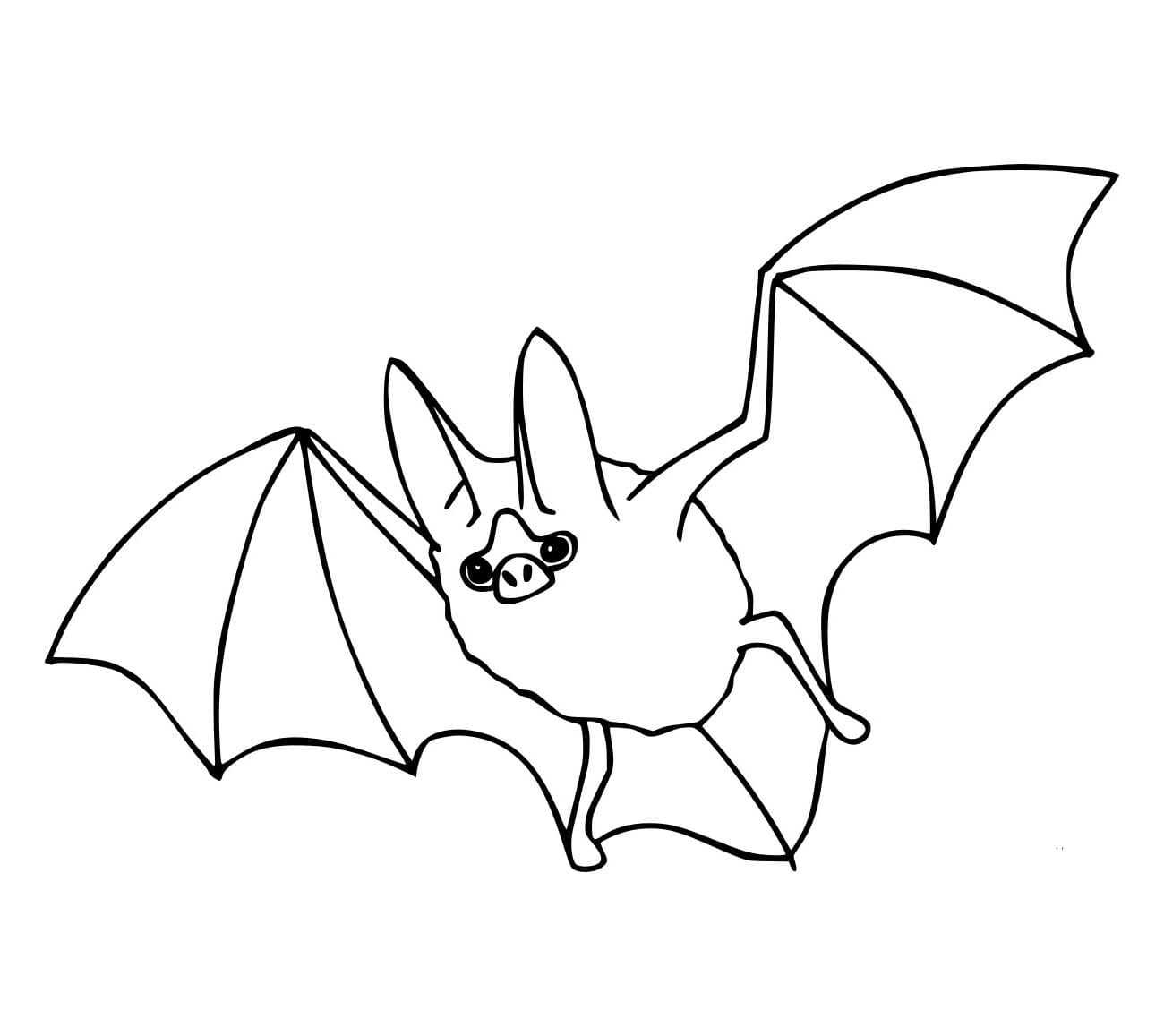 Con Dơi Khá Đơn Giản