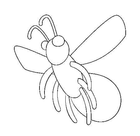 Con Đom Đóm Đơn Giản