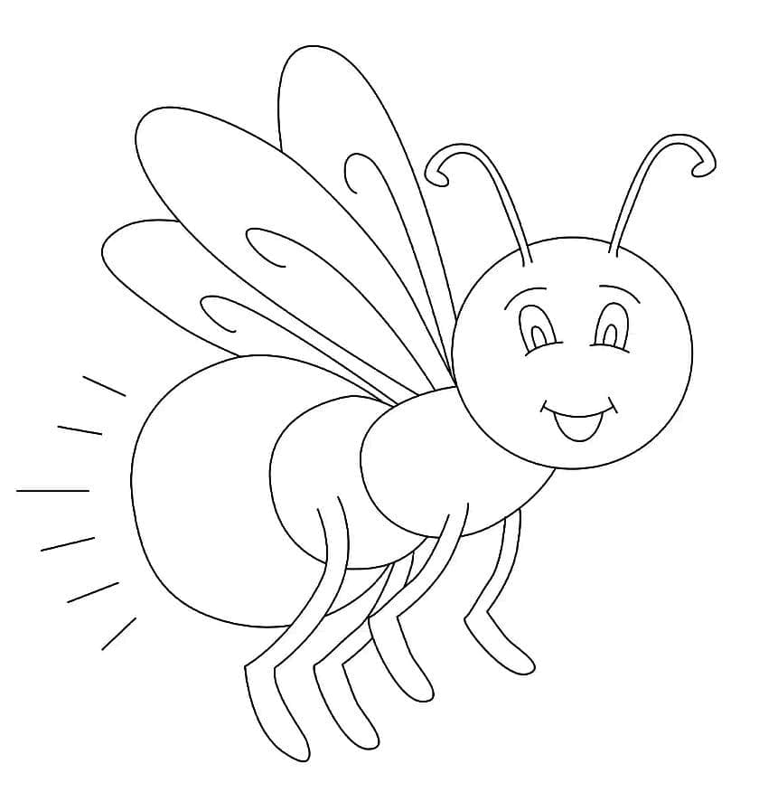 Con Đom Đóm Xinh Xắn