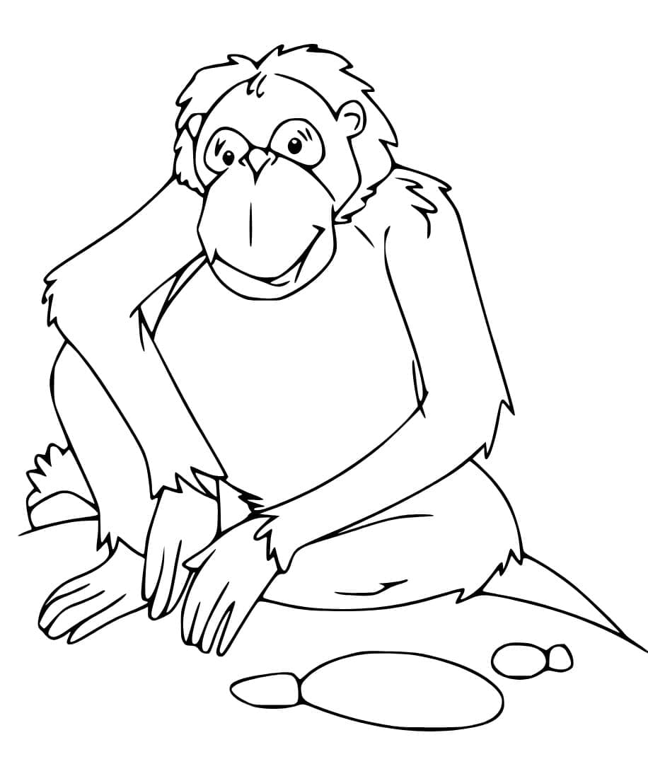 Con Đười Ươi Đang Ngồi