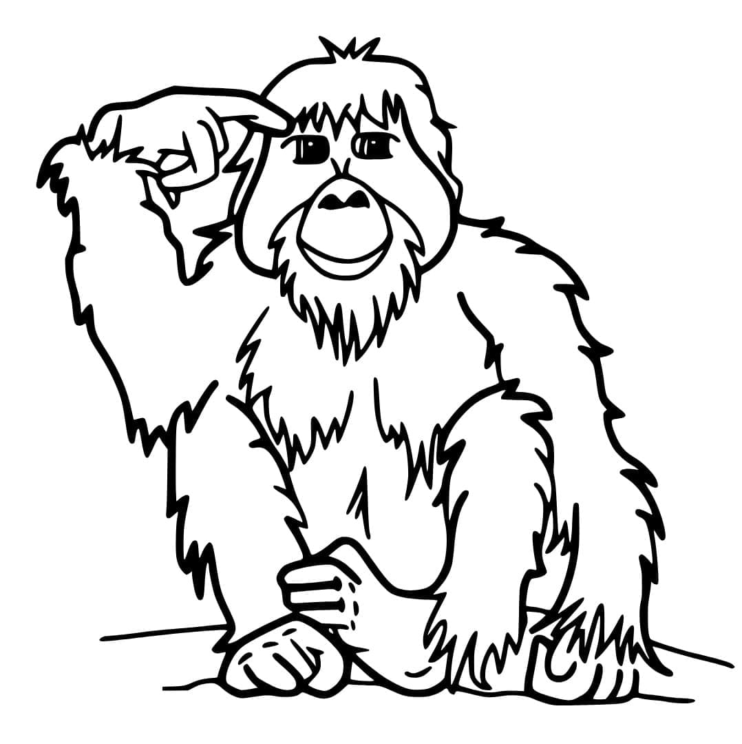 Con Đười Ươi Suy Nghĩ