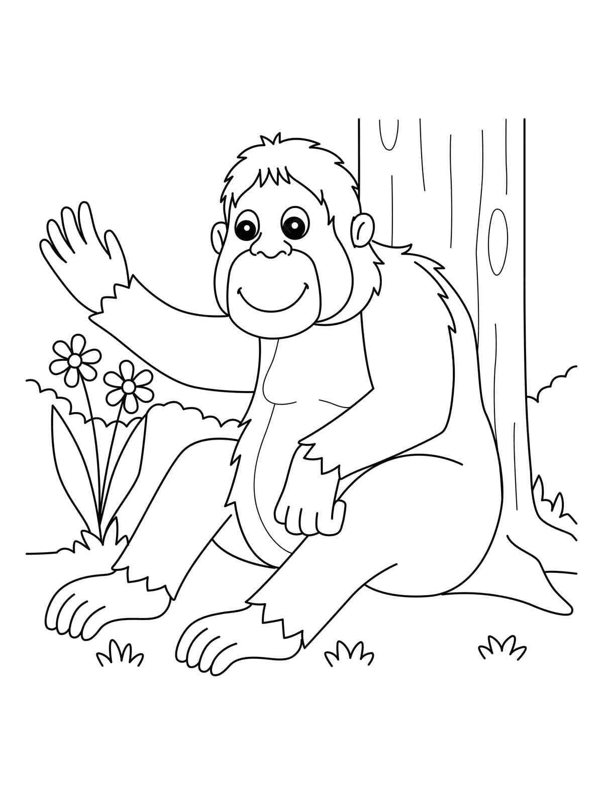 Con Đười Ươi Thân Thiện