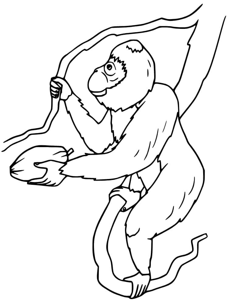 Con Đười Ươi Trên Cành Cây