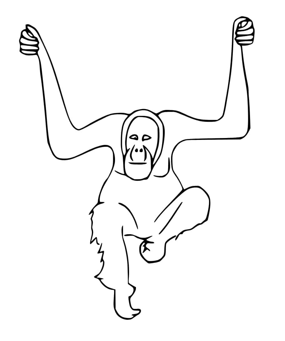 Con Đười Ươi Trong Hoang Dã