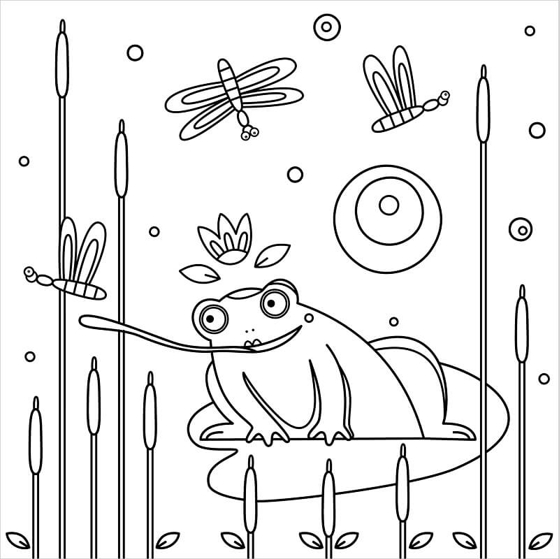 Con Ếch Bắt Chuồn Chuồn