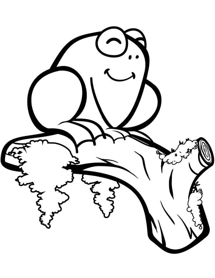 Con Ếch Trên Cành Cây