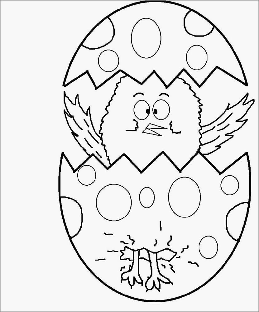 Con Gà Con Hài Hước