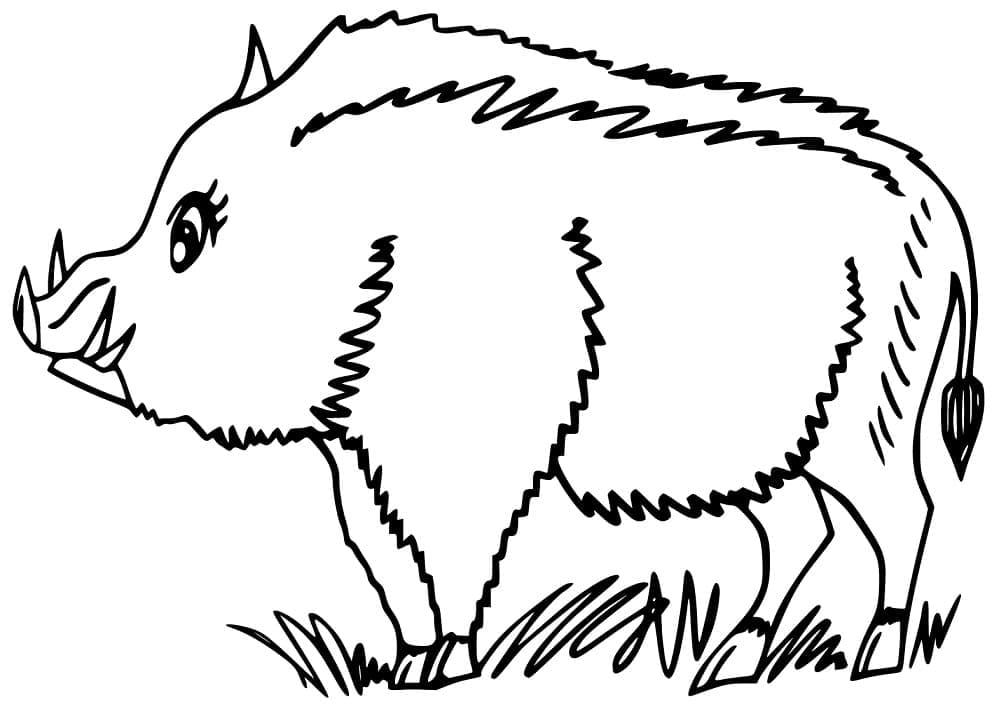 Con Heo Rừng Mập