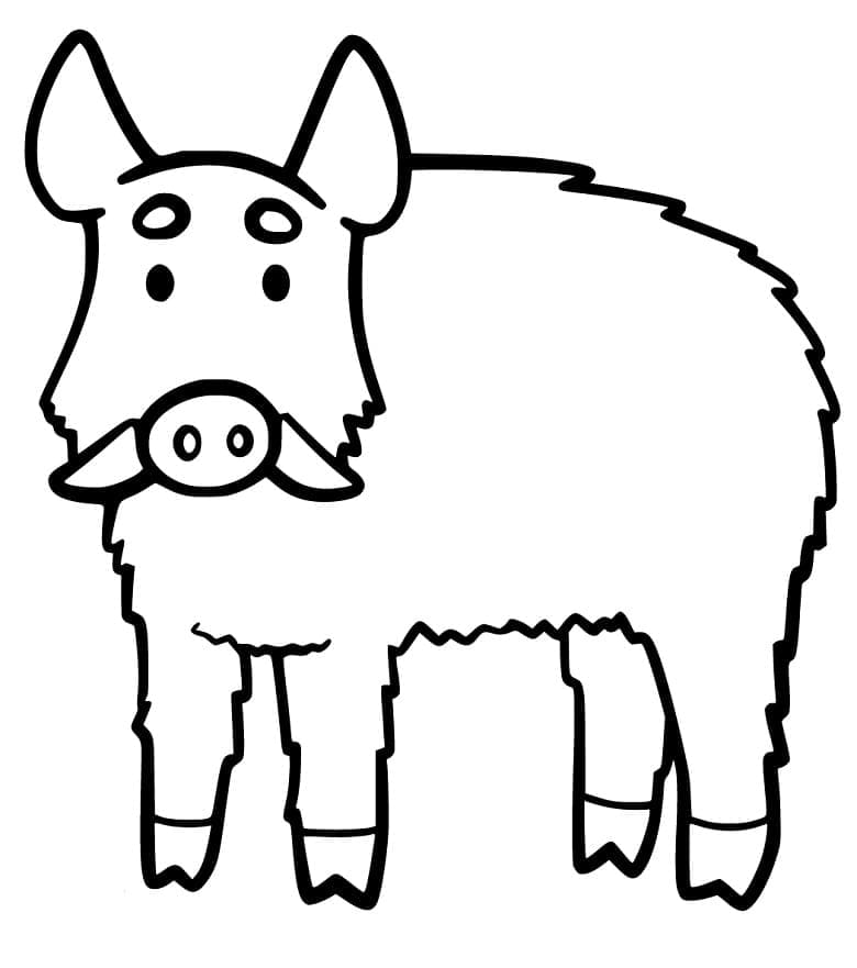 Con Heo Rừng Ngộ Nghĩnh