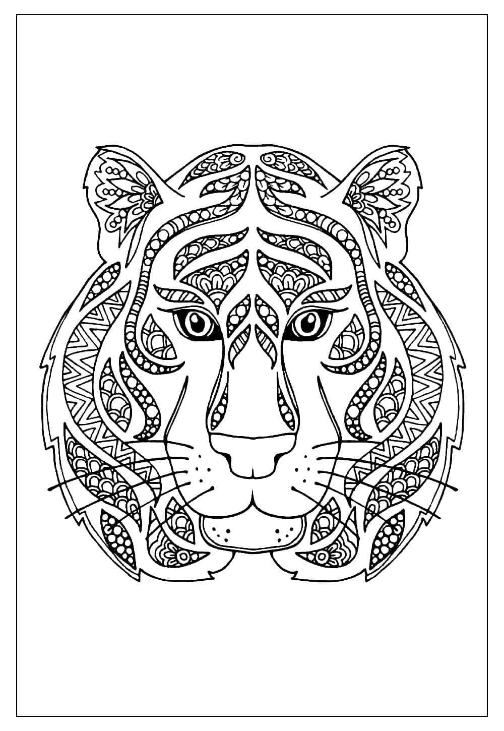 Con Hổ Cực Đẹp