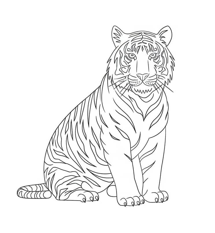 Con Hổ Đang Ngồi