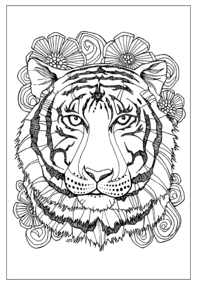 Con Hổ Rất Đẹp