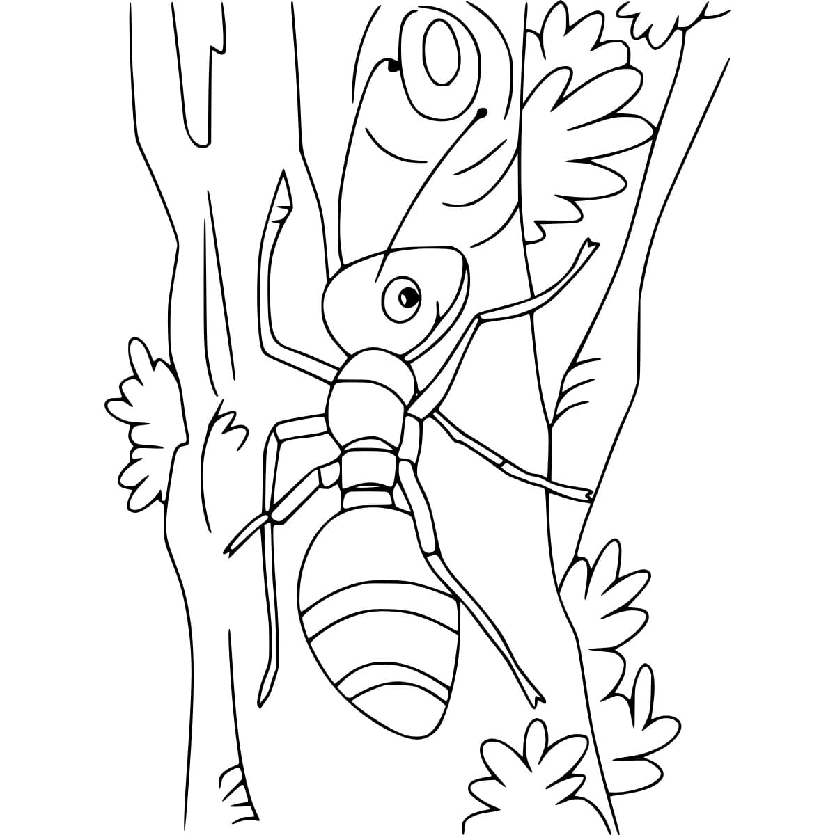 Con Kiến Leo Cây