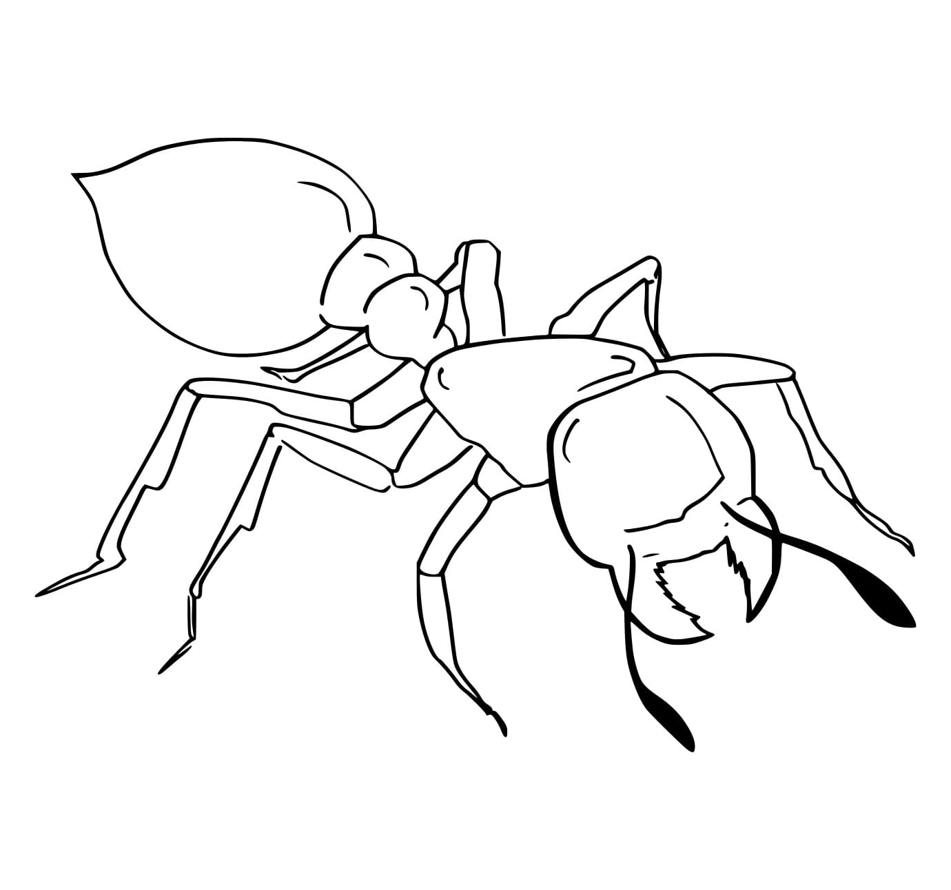 Con Kiến Răng Lớn