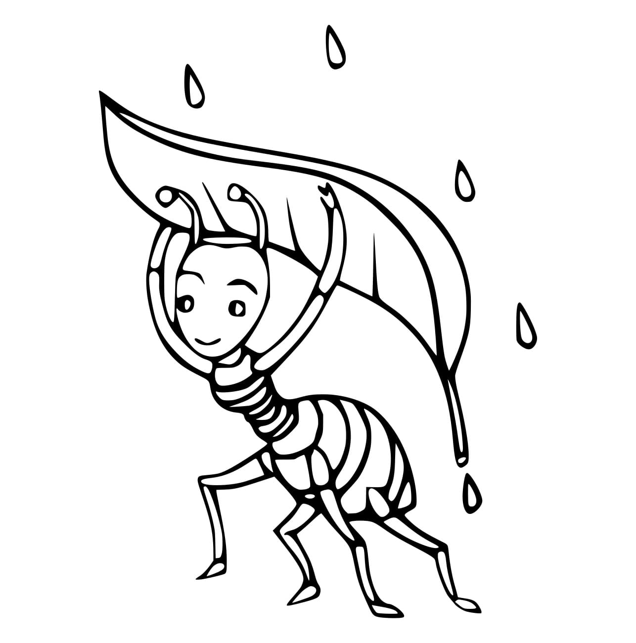 Con Kiến Trú Mưa