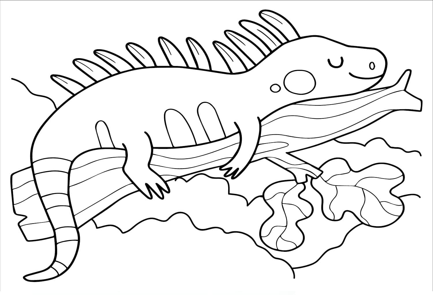 Con Kỳ Nhông Đang Ngủ