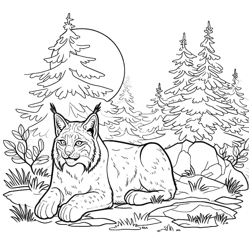 Con Linh Miêu Trong Rừng