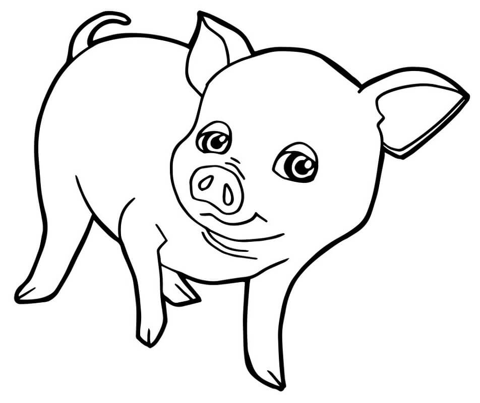 Con Lợn Con Đáng Yêu