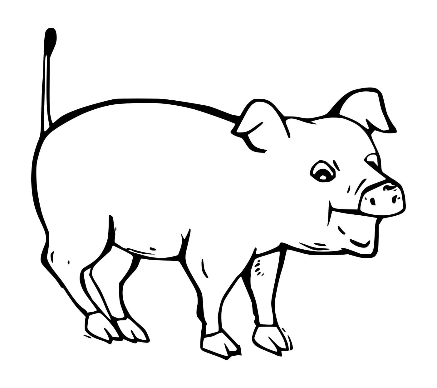 Con Lợn Hoảng Sợ