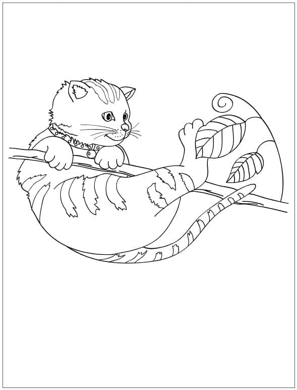 Con Mèo Trên Cành Cây