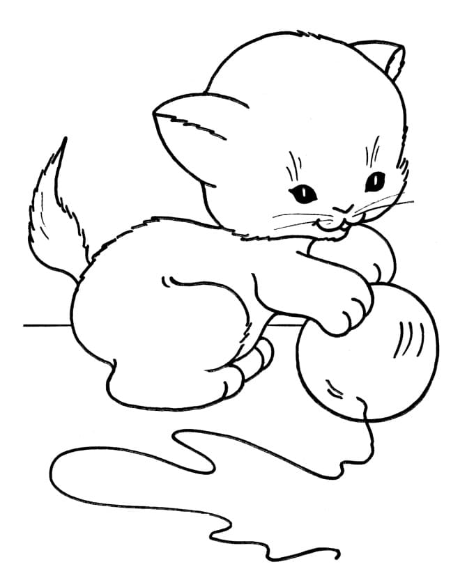 Con Mèo và Quả Bóng