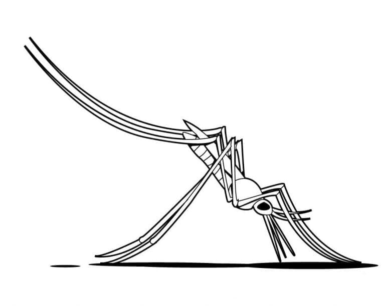 Con Muỗi Hút Máu