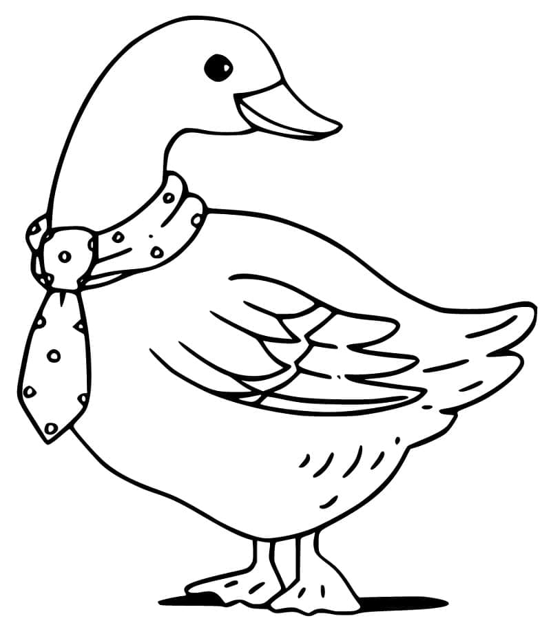 Con Ngỗng Đáng Yêu