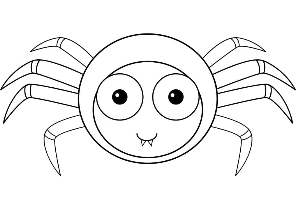 Con Nhện Đáng Yêu