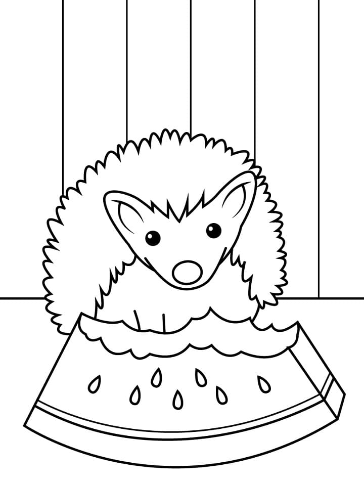 Con Nhím Ăn Dưa Hấu