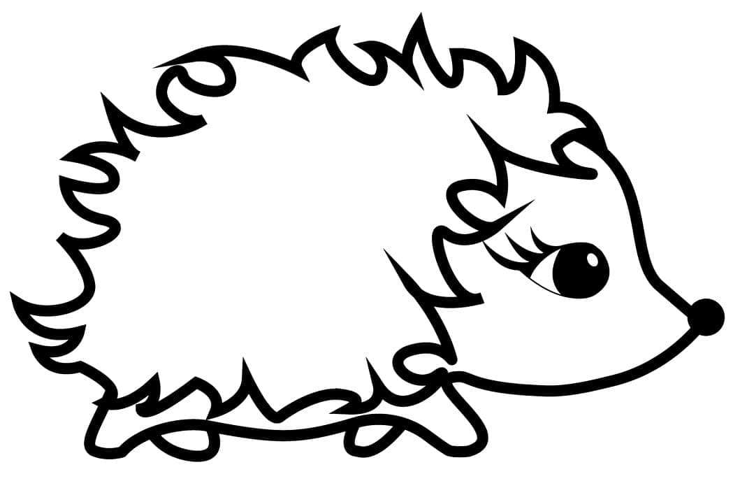 Con Nhím Dễ Thương