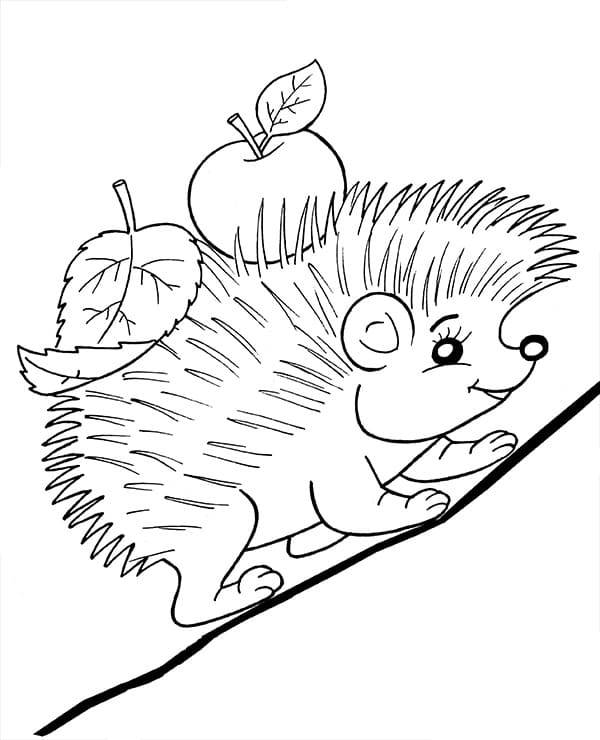 Con Nhím Leo Lên Dốc