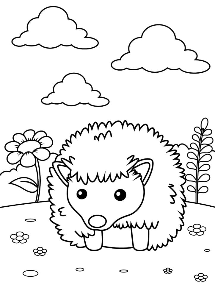 Con Nhím Ngộ Nghĩnh