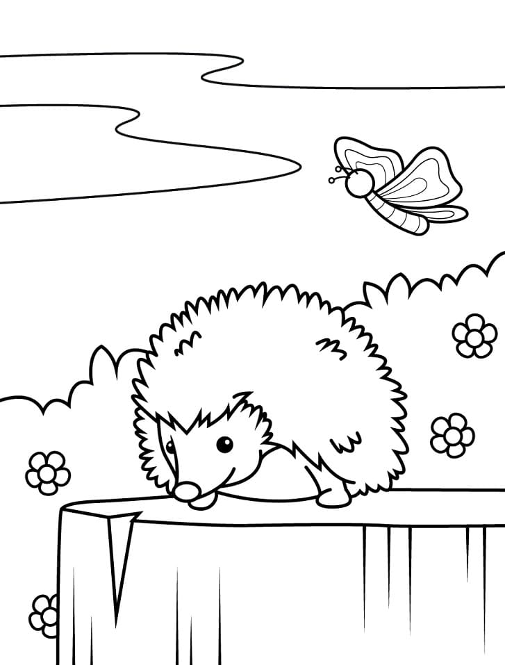 Con Nhím Trên Gốc Cây