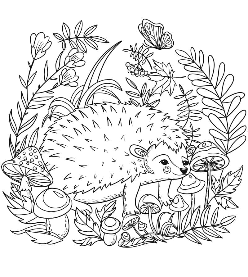 Con Nhím Trong Rừng