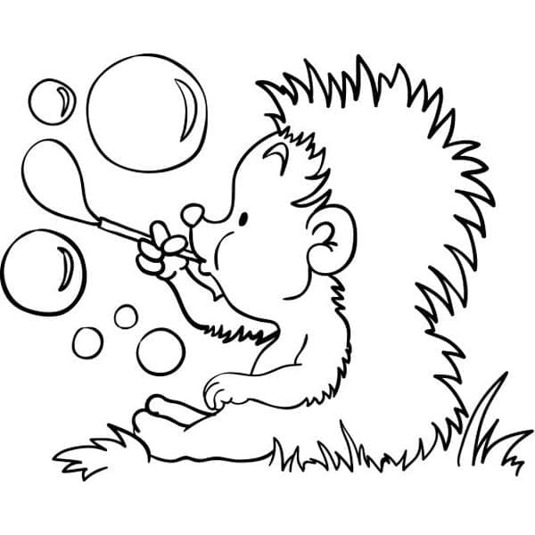 Con Nhím và Bong Bóng