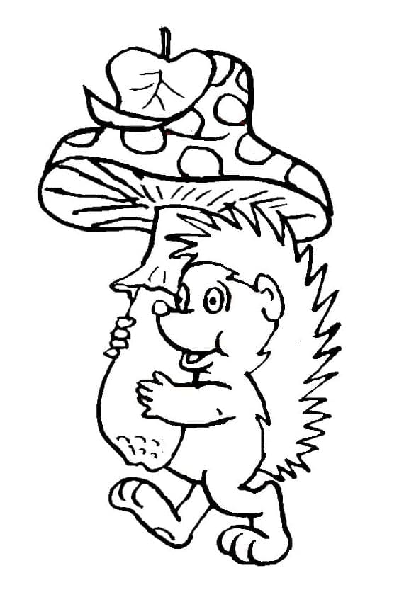 Con Nhím và Cây Nấm