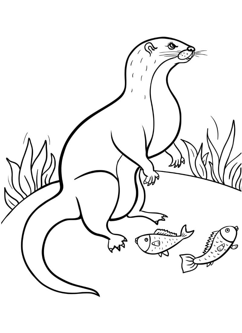 Con Rái Cá Ăn Cá