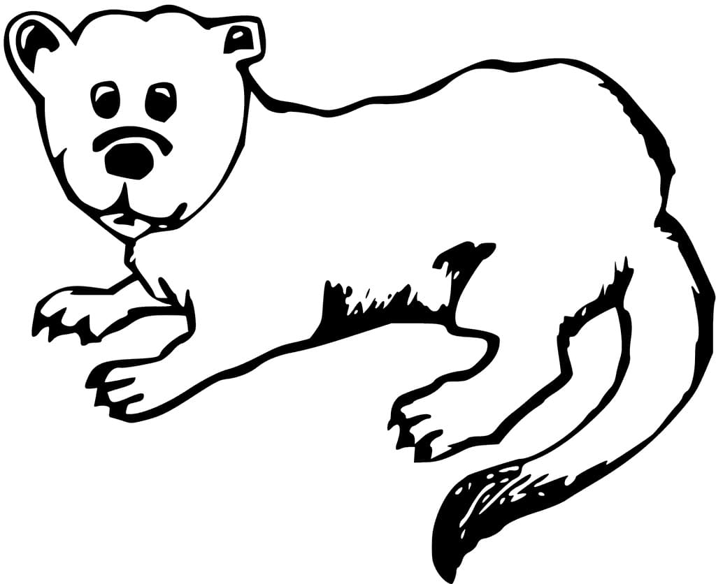 Con Rái Cá Tò Mò