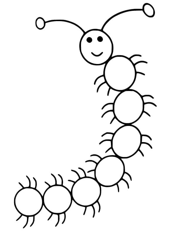 Con Rết Cute Đơn Giản