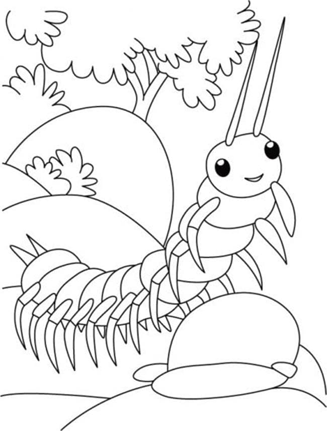 Con Rết Đáng Yêu