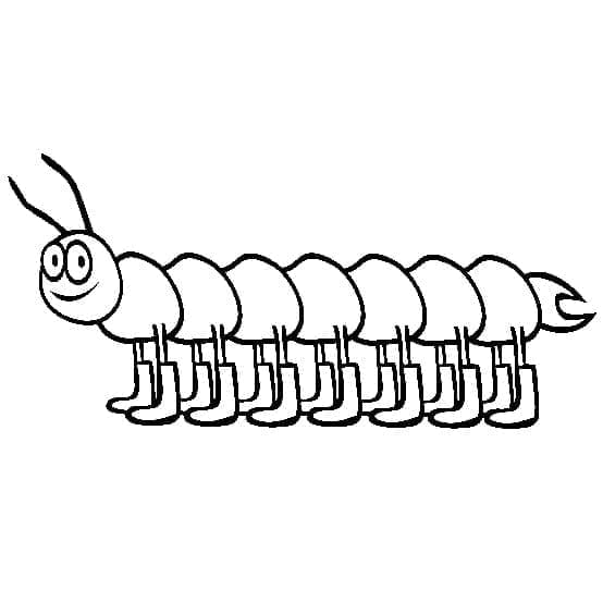 Con Rết Hoạt Hình