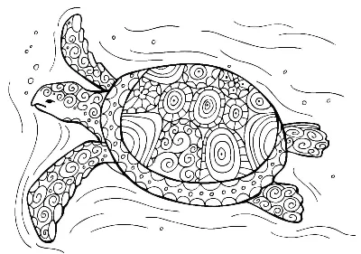 Con Rùa Đẹp Đang Bơi