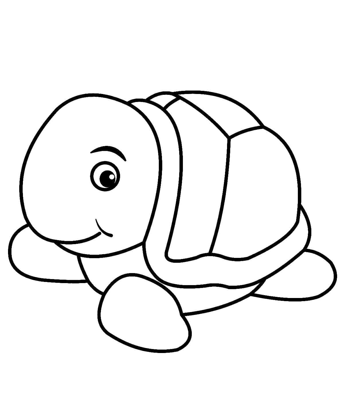 Con Rùa Nhỏ Đơn Giản