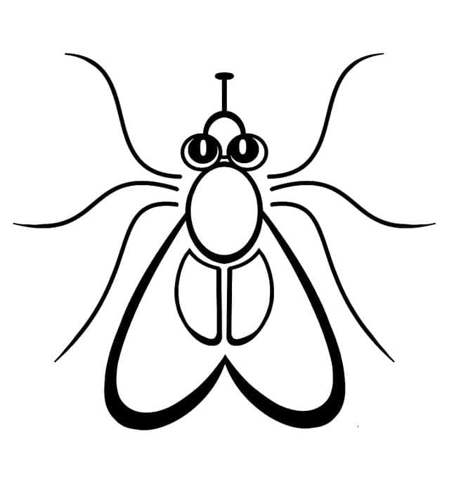 Con Ruồi Dễ và Đơn Giản