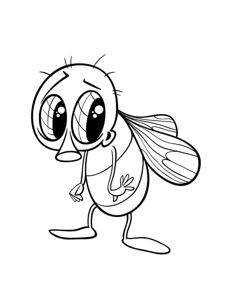 Con Ruồi Thân Thiện