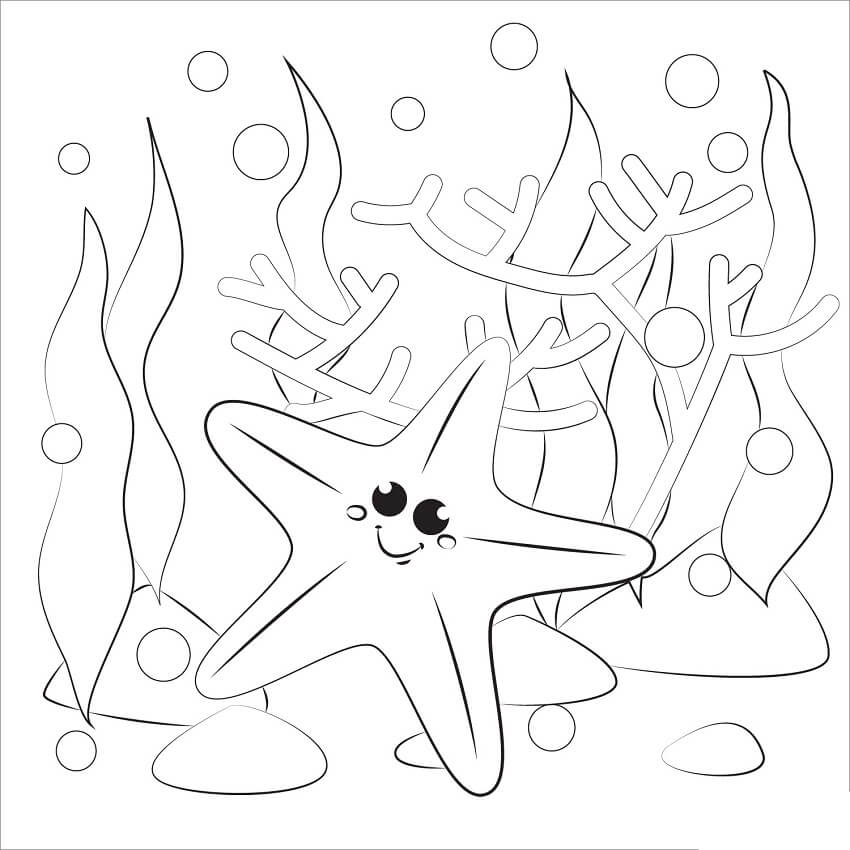 Con Sao Biển Dễ Thương